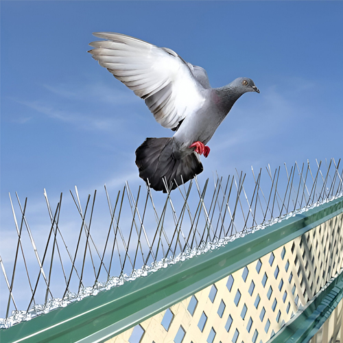 blog_card